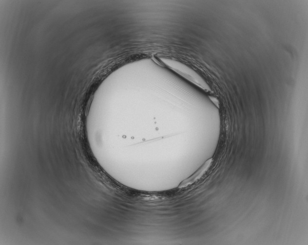 X0000111160611200907281154