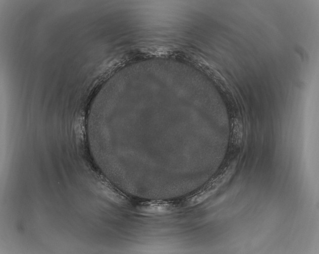 X0000111160612200907281154