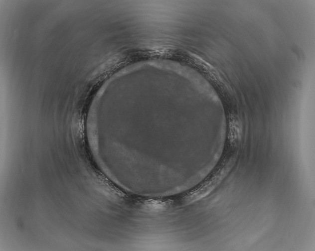 X0000111160613200907281154