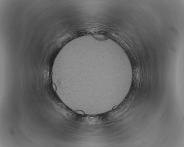 X0000111160615200907281154