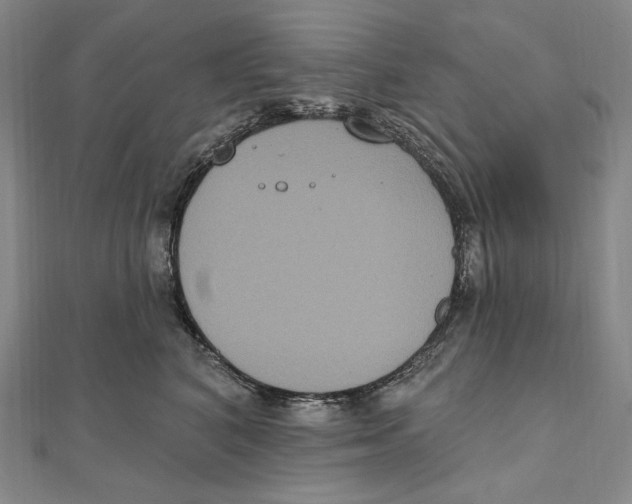 X0000111160616200907281154