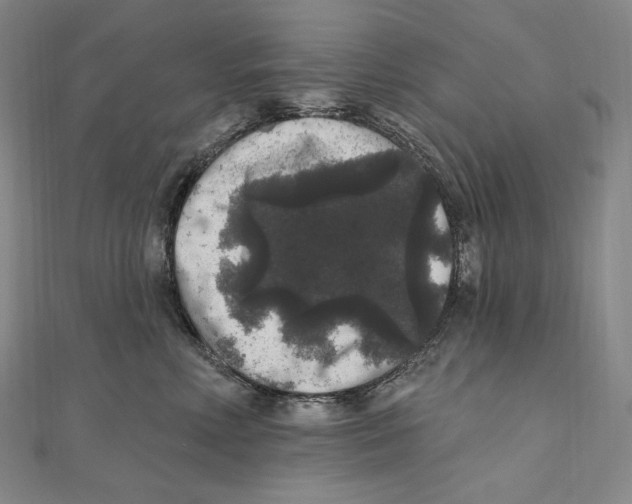 X0000111160618200907281154
