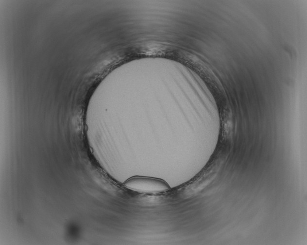 X0000111160620200907281154