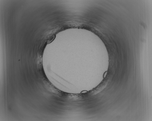 X0000111160624200907281154