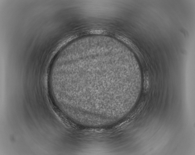 X0000111160626200907281153