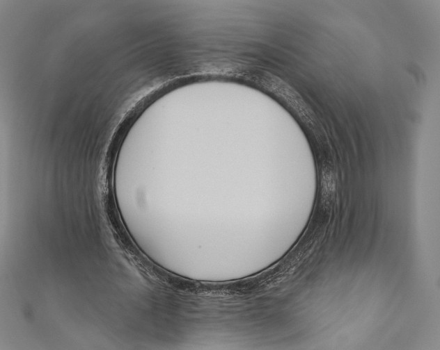X0000111160628200907281153
