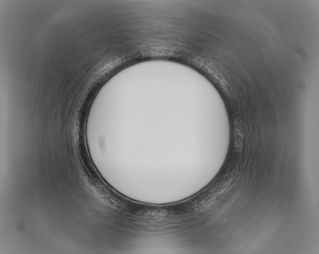 X0000111160631200907281154