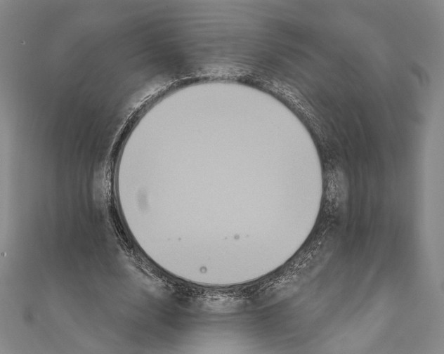 X0000111160632200907281154