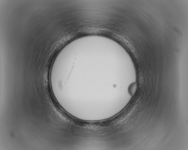 X0000111160633200907281154
