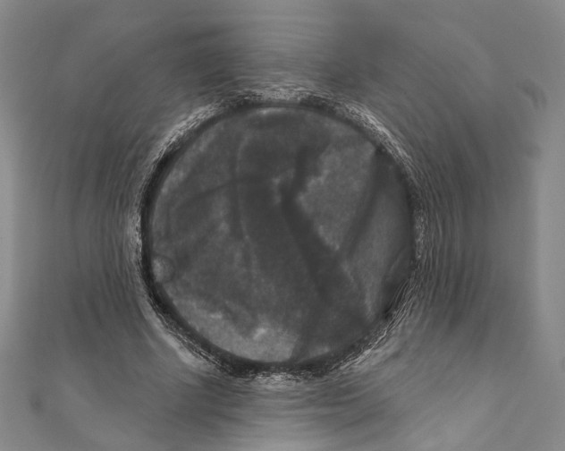 X0000111160634200907281154