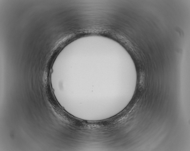 X0000111160636200907281154