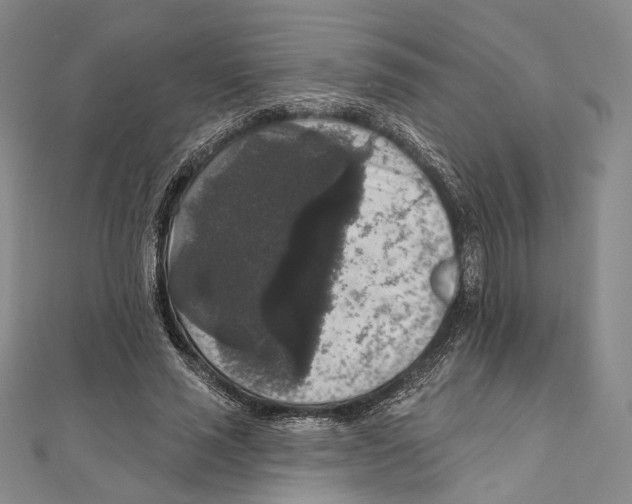 X0000111160637200907281154