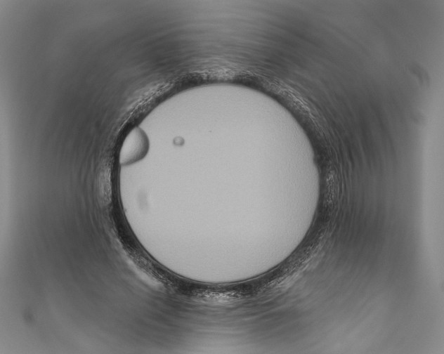 X0000111160638200907281154