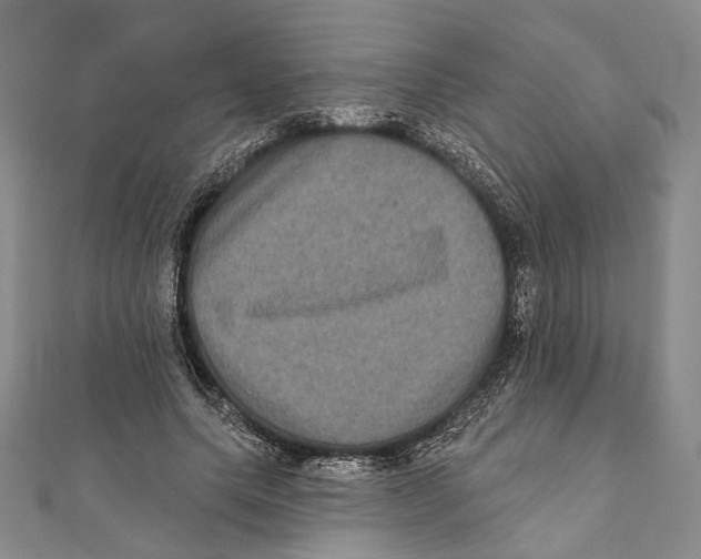 X0000111160639200907281154