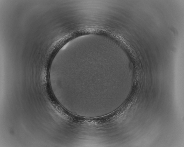 X0000111160640200907281154