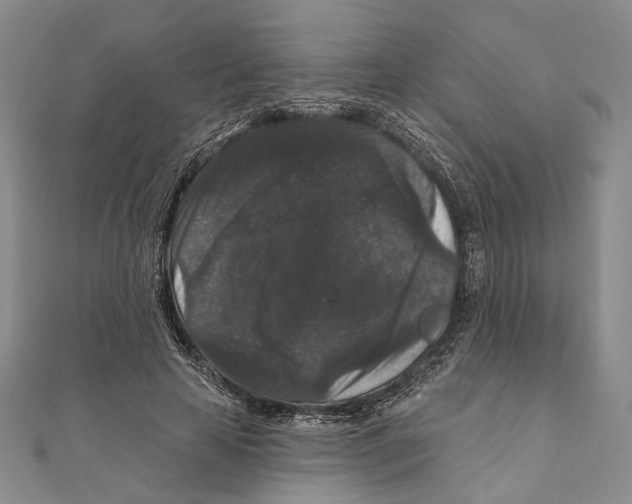 X0000111160641200907281154