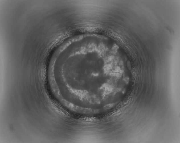 X0000111160642200907281154