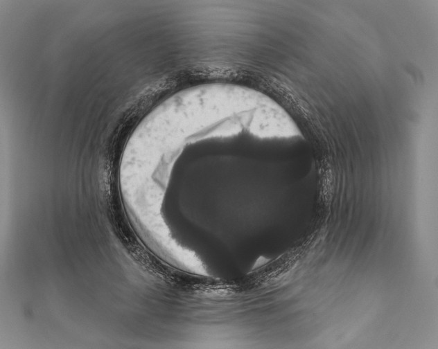 X0000111160643200907281154