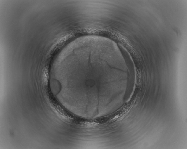 X0000111160644200907281154