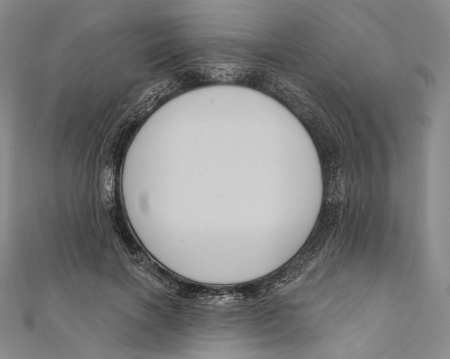X0000111160646200907281154