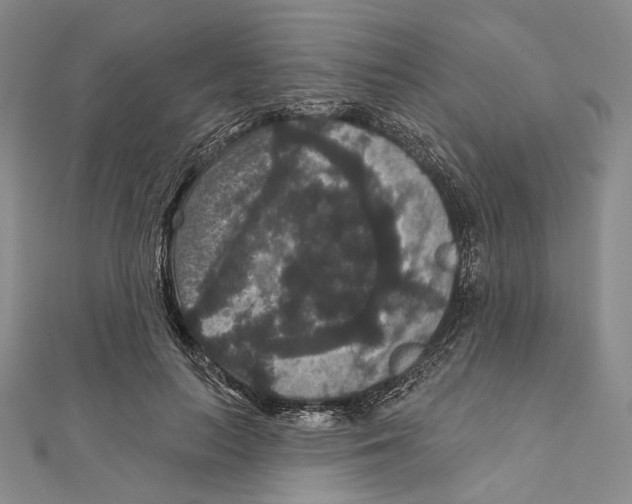 X0000111160647200907281154