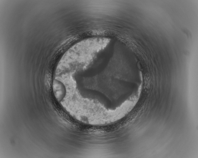 X0000111160648200907281154