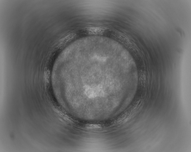 X0000111160649200907281154