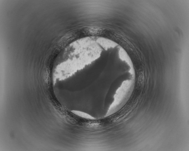 X0000111160651200907281154