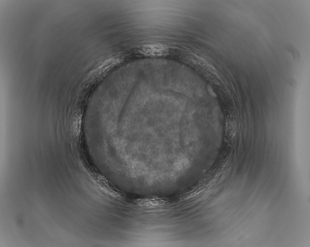 X0000111160652200907281154