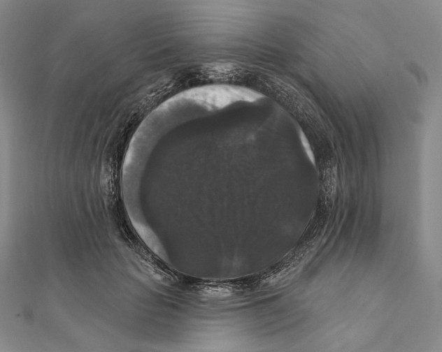 X0000111160653200907281154
