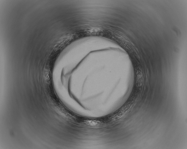 X0000111160654200907281154