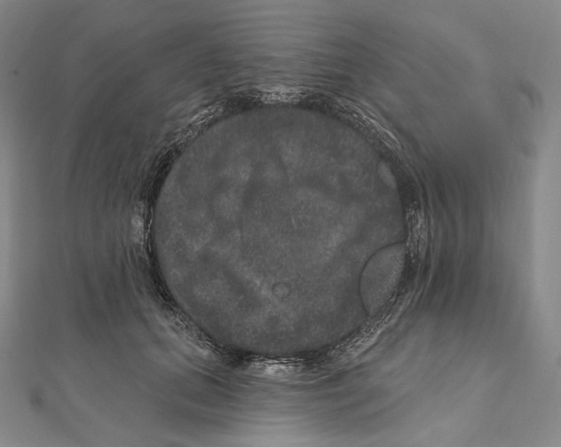 X0000111160655200907281154
