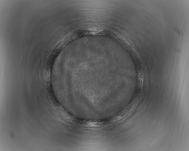 X0000111160657200907281154