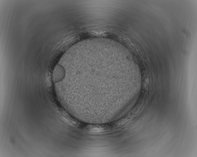 X0000111160658200907281154