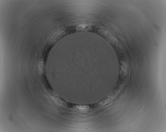 X0000111160659200907281154