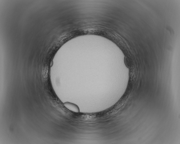 X0000111160660200907281154
