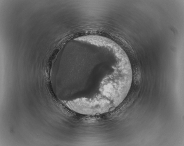 X0000111160661200907281154