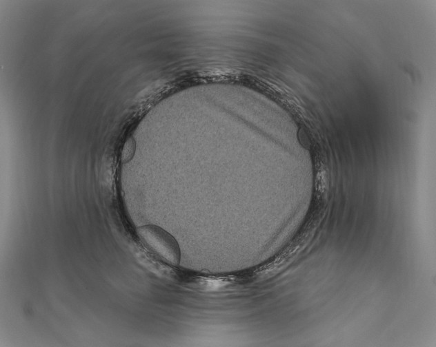 X0000111160662200907281154
