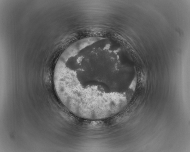 X0000111160663200907281154