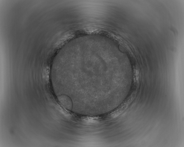 X0000111160664200907281154