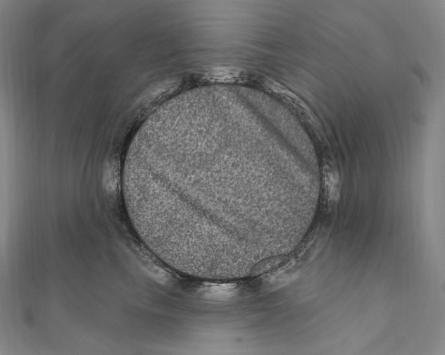 X0000111160665200907281154