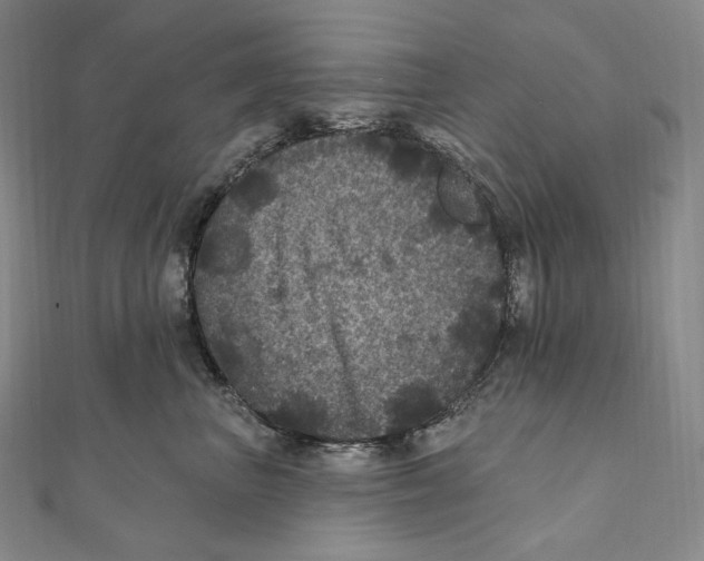 X0000111160667200907281154