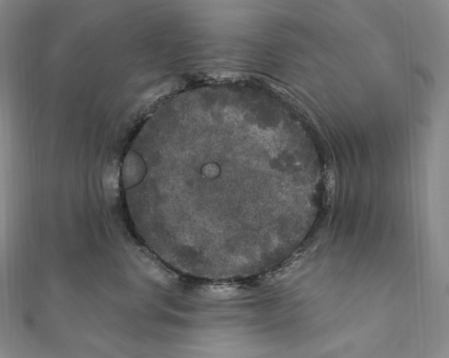 X0000111160668200907281154