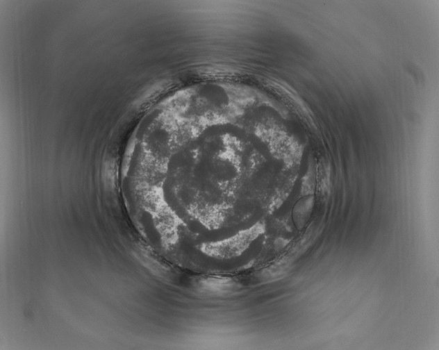 X0000111160669200907281154