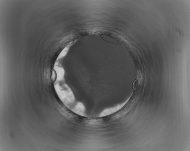 X0000111160670200907281154