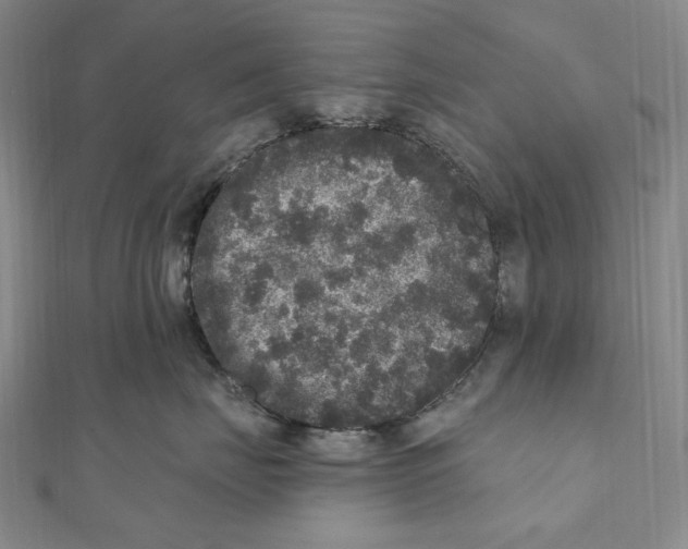 X0000111160671200907281154