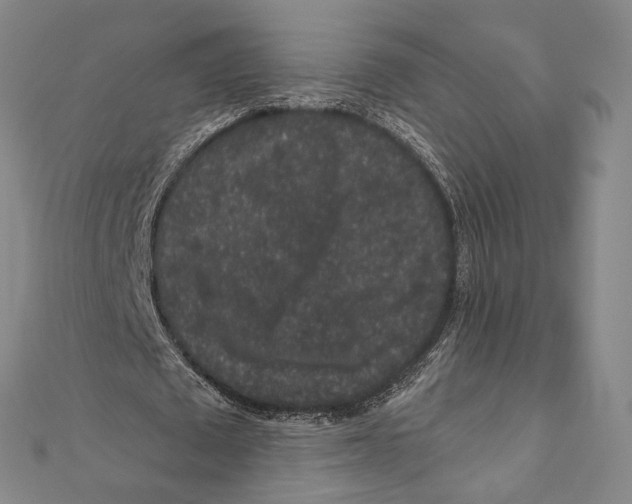 X0000111160673200907281153