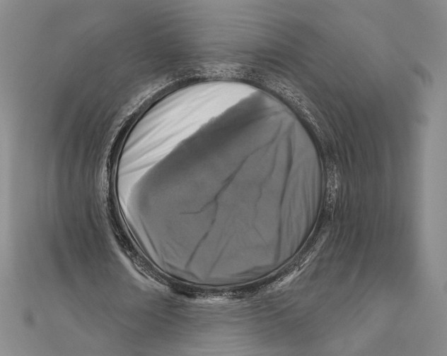 X0000111160674200907281153