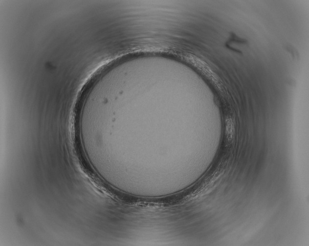 X0000111160676200907281153