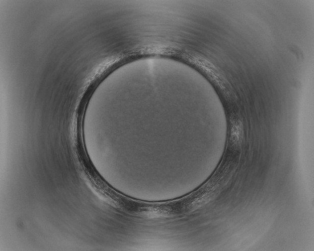 X0000111160678200907281153